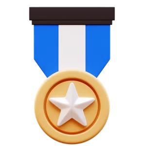 🎖️