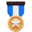 🎖️
