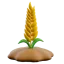 🌾